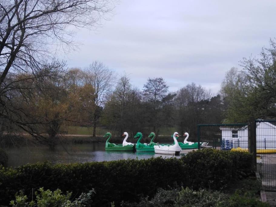 The Cabin Welwyn Garden City Exterior foto