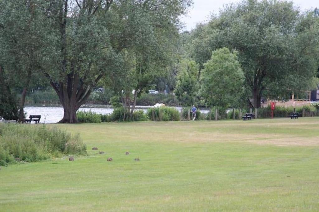 The Cabin Welwyn Garden City Exterior foto